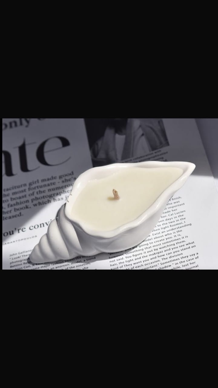 Sea shell candle and organiser for accessories